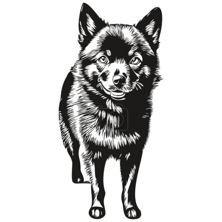 Ilustración de Schipperke perro contorno lápiz dibujo ilustraciones, carácter negro sobre fondo blanco - Imagen libre de derechos
