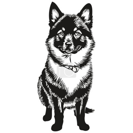 Ilustración de Schipperke perro lápiz mano dibujo vector, contorno ilustración mascota cara logo blanco y negro boceto dibujo - Imagen libre de derechos