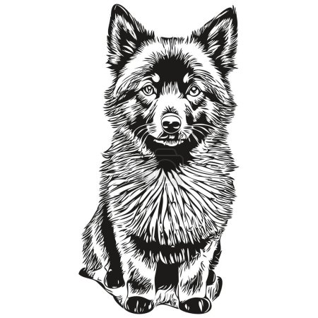 Ilustración de Schipperke perro mascota silueta, animal línea ilustración dibujado a mano negro y blanco vector realista raza mascota - Imagen libre de derechos