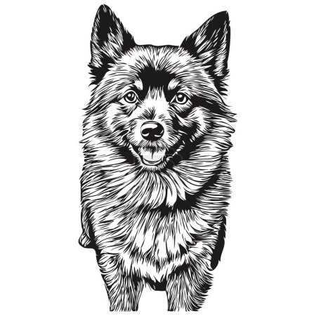 Ilustración de Schipperke perro mascota silueta, animal línea ilustración dibujado a mano negro y blanco vector realista mascota silueta - Imagen libre de derechos