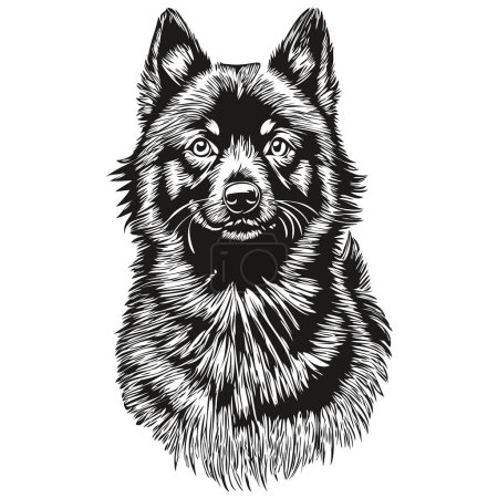 Ilustración de Schipperke perro mascota boceto ilustración, grabado en blanco y negro dibujo vector boceto - Imagen libre de derechos