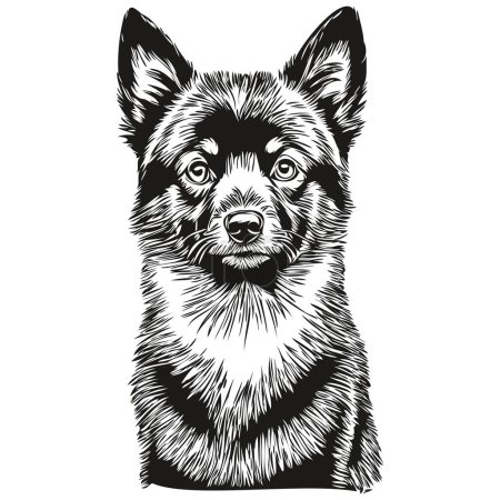 Ilustración de Schipperke perro retrato en vector, animal mano dibujo para tatuaje o camiseta impresión ilustración realista raza mascota - Imagen libre de derechos