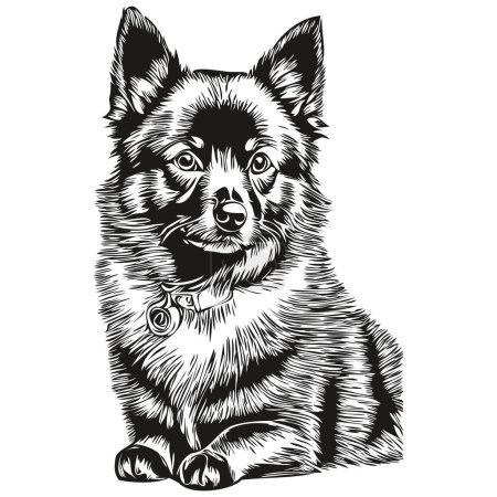 Ilustración de Schipperke perro dibujo a lápiz realista en vector, ilustración de arte de línea de cara de perro dibujo de boceto en blanco y negro - Imagen libre de derechos