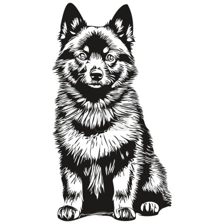 Ilustración de Schipperke retrato de perro en vector, dibujo a mano animal para tatuaje o camiseta ilustración de impresión - Imagen libre de derechos