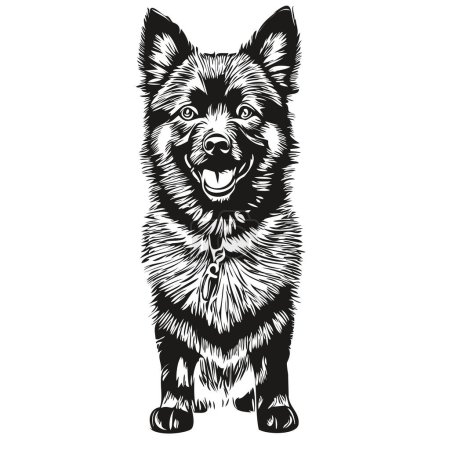 Ilustración de Schipperke perro realista mascota ilustración, dibujo a mano cara negro y blanco dibujo de vectores - Imagen libre de derechos