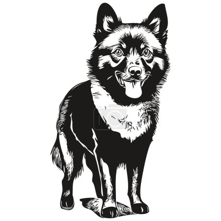 Ilustración de Schipperke perro vector cara dibujo retrato, bosquejo vintage estilo transparente fondo realista raza mascota - Imagen libre de derechos