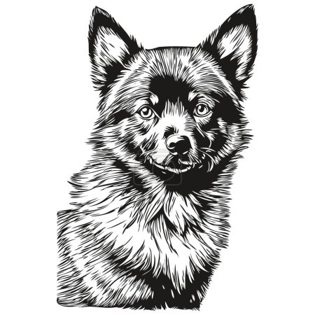 Ilustración de Schipperke perro vector cara dibujo retrato, bosquejo estilo vintage fondo transparente boceto dibujo - Imagen libre de derechos