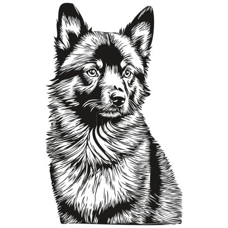 Ilustración de Schipperke perro gráficos vectoriales, dibujado a mano lápiz animal línea ilustración - Imagen libre de derechos