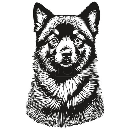 Ilustración de Schipperke perro vector gráficos, dibujado a mano lápiz animal línea ilustración boceto dibujo - Imagen libre de derechos