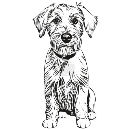 Illustration for Sealyham Terrier dog breed line drawing, clip art animal hand drawing vector black and white realistic breed pet - Royalty Free Image