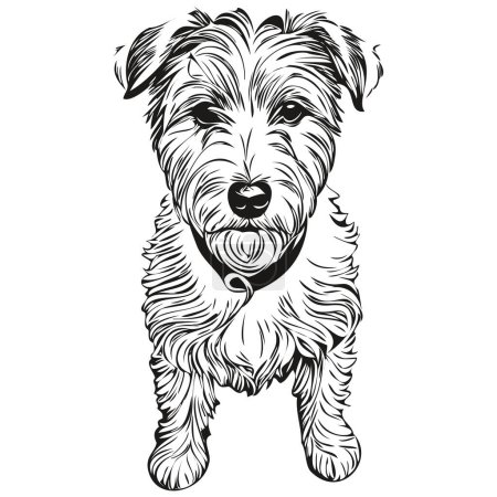 Illustration for Sealyham Terrier dog breed line drawing, clip art animal hand drawing vector black and white - Royalty Free Image