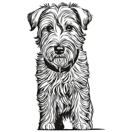 Illustration for Sealyham Terrier dog engraved vector portrait, face cartoon vintage drawing in black and white realistic breed pet - Royalty Free Image