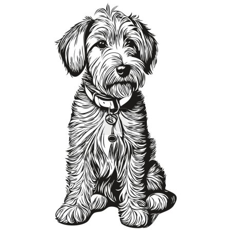 Illustration for Sealyham Terrier dog hand drawn logo drawing black and white line art pets illustration realistic breed pet - Royalty Free Image