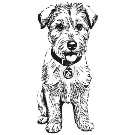 Illustration for Sealyham Terrier dog face vector portrait, funny outline pet illustration white background - Royalty Free Image