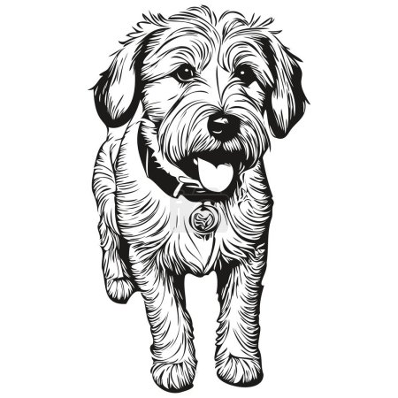 Illustration for Sealyham Terrier dog engraved vector portrait, face cartoon vintage drawing in black and white - Royalty Free Image