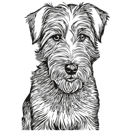 Illustration for Sealyham Terrier dog face vector portrait, funny outline pet illustration white background realistic breed pet - Royalty Free Image