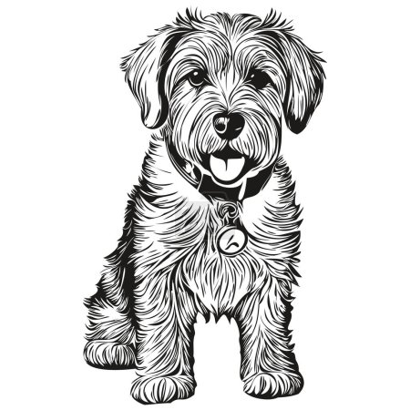Illustration for Sealyham Terrier dog hand drawn logo drawing black and white line art pets illustration - Royalty Free Image