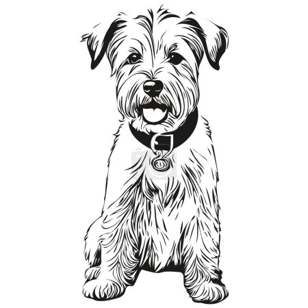 Illustration for Sealyham Terrier dog head line drawing vector,hand drawn illustration with transparent background realistic breed pet - Royalty Free Image