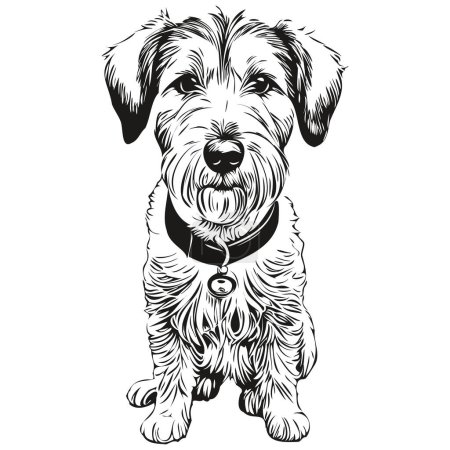 Illustration for Sealyham Terrier dog head line drawing vector,hand drawn illustration with transparent background - Royalty Free Image