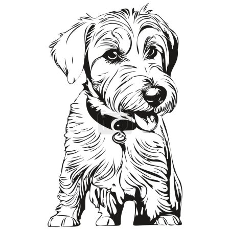 Illustration for Sealyham Terrier dog isolated drawing on white background, head pet line illustration - Royalty Free Image
