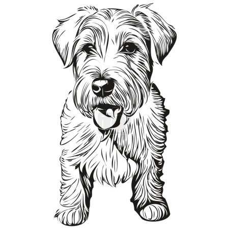 Illustration for Sealyham Terrier dog line illustration, black and white ink sketch face portrait in vector - Royalty Free Image