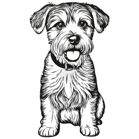 Illustration for Sealyham Terrier dog outline pencil drawing artwork, black character on white background - Royalty Free Image