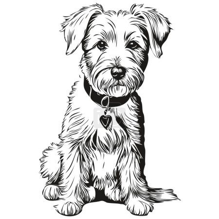 Illustration for Sealyham Terrier dog pet silhouette, animal line illustration hand drawn black and white vector - Royalty Free Image