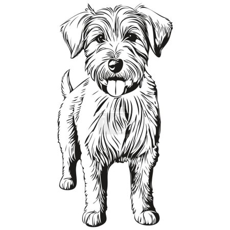 Illustration for Sealyham Terrier dog realistic pencil drawing in vector, line art illustration of dog face black and white - Royalty Free Image
