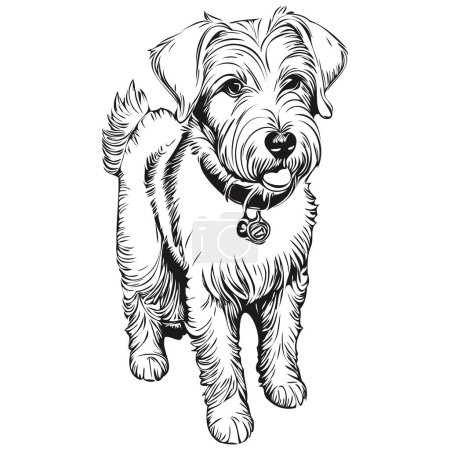 Illustration for Sealyham Terrier dog realistic pet illustration, hand drawing face black and white vector realistic breed pet - Royalty Free Image