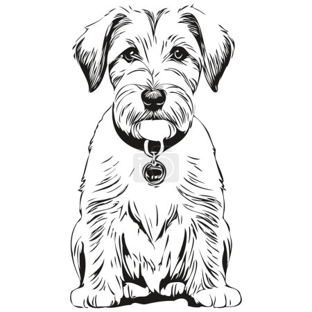 Illustration for Sealyham Terrier dog realistic pet illustration, hand drawing face black and white vector - Royalty Free Image