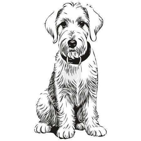Illustration for Sealyham Terrier dog vector face drawing portrait, sketch vintage style transparent background realistic breed pet - Royalty Free Image