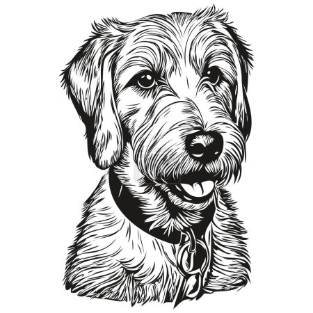 Illustration for Sealyham Terrier dog vector face drawing portrait, sketch vintage style transparent background - Royalty Free Image