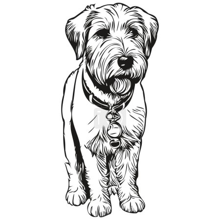 Illustration for Sealyham Terrier dog vector graphics, hand drawn pencil animal line illustration realistic breed pet - Royalty Free Image