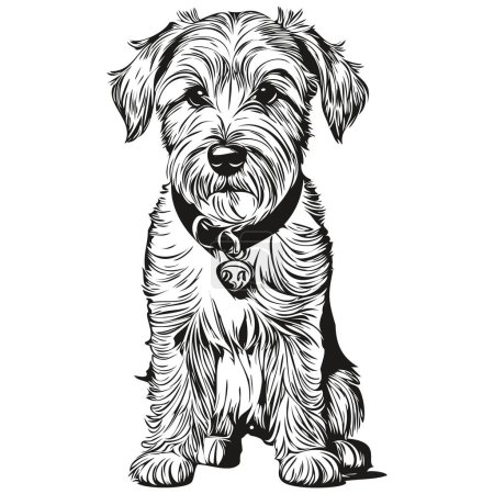 Illustration for Sealyham Terrier dog vector graphics, hand drawn pencil animal line illustration - Royalty Free Image