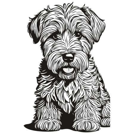 Téléchargez les illustrations : Vecteur de dessin noir pour chien Soft Coated Wheaten Terrier, illustration de ligne de croquis isolée de peinture faciale - en licence libre de droit