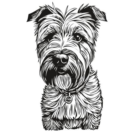 Téléchargez les illustrations : Soft Coated Wheaten Terrier chien contour crayon dessin illustration, caractère noir sur fond blanc animal de compagnie de race réaliste - en licence libre de droit