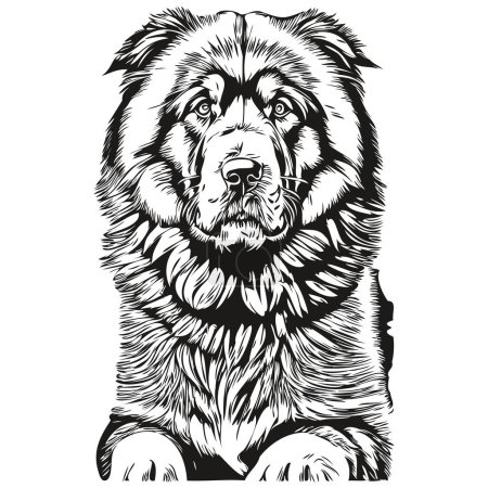 Illustration for Tibetan Mastiff dog black drawing vector, isolated face painting sketch line illustration - Royalty Free Image
