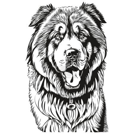 Illustration for Tibetan Mastiff dog cartoon face ink portrait, black and white sketch drawing, tshirt print - Royalty Free Image