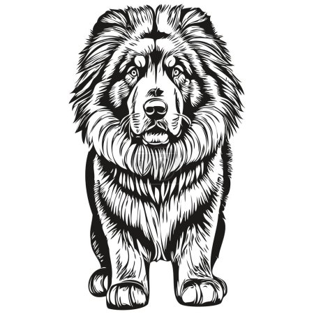 Illustration for Tibetan Mastiff dog hand drawn logo drawing black and white line art pets illustration realistic breed pet - Royalty Free Image