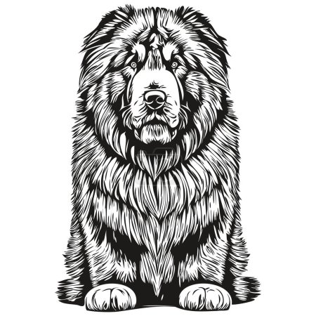 Illustration for Tibetan Mastiff dog hand drawn logo drawing black and white line art pets illustration - Royalty Free Image