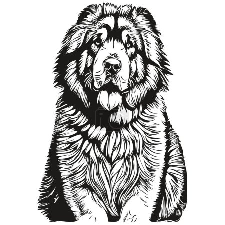 Illustration for Tibetan Mastiff dog ink sketch drawing, vintage tattoo or t shirt print black and white vector realistic breed pet - Royalty Free Image