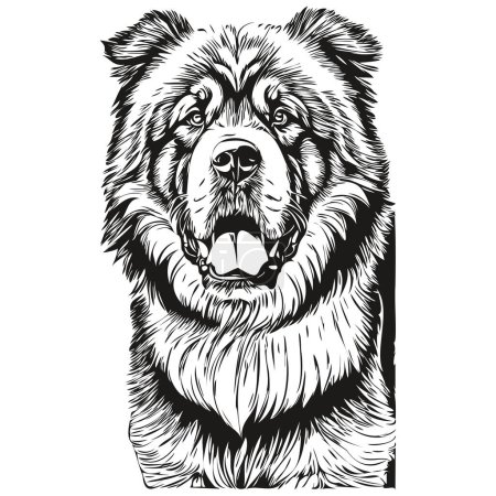 Illustration for Tibetan Mastiff dog ink sketch drawing, vintage tattoo or t shirt print black and white vector - Royalty Free Image