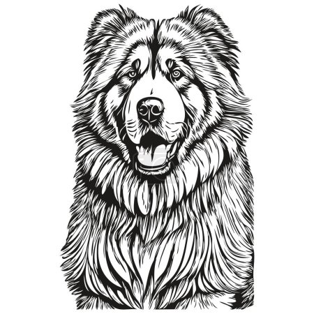 Téléchargez les photos : Chien mastiff tibétain dessin isolé sur fond blanc, tête animal de compagnie ligne illustration animal de compagnie réaliste - en image libre de droit