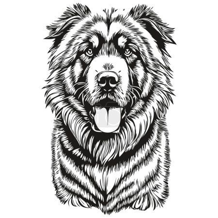 Illustration for Tibetan Mastiff dog line illustration, black and white ink sketch face portrait in vector realistic breed pet - Royalty Free Image