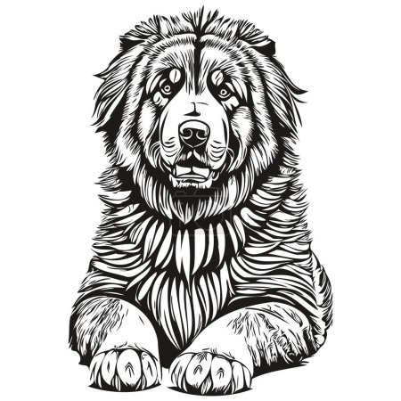 Illustration for Tibetan Mastiff dog logo vector black and white, vintage cute dog head engraved realistic breed pet - Royalty Free Image