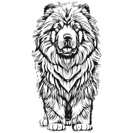 Illustration for Tibetan Mastiff dog outline pencil drawing artwork, black character on white background - Royalty Free Image