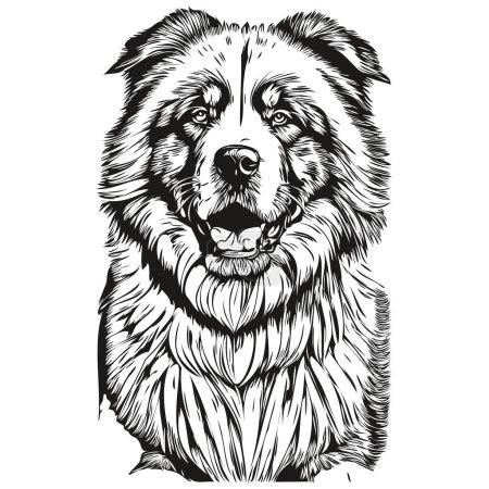 Illustration for Tibetan Mastiff dog outline pencil drawing artwork, black character on white background realistic breed pet - Royalty Free Image
