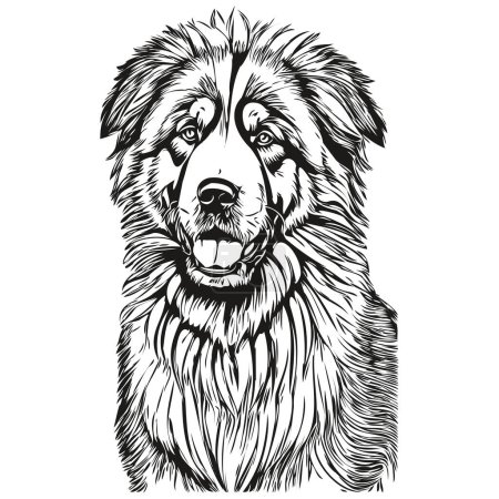 Illustration for Tibetan Mastiff dog pencil hand drawing vector, outline illustration pet face logo black and white realistic breed pet - Royalty Free Image