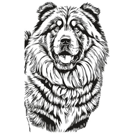 Illustration for Tibetan Mastiff dog pencil hand drawing vector, outline illustration pet face logo black and white - Royalty Free Image