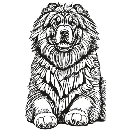 Illustration for Tibetan Mastiff dog pet sketch illustration, black and white engraving vector - Royalty Free Image